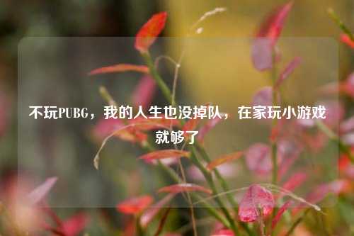 不玩PUBG，我的人生也没掉队，在家玩小游戏就够了
