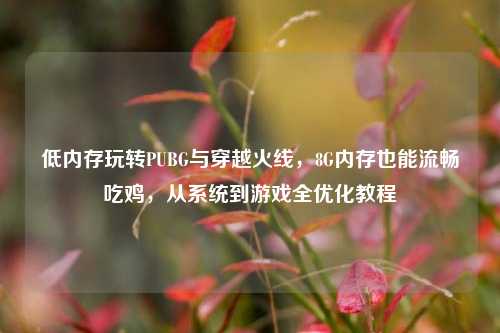 低内存玩转PUBG与穿越火线，8G内存也能流畅吃鸡，从系统到游戏全优化教程