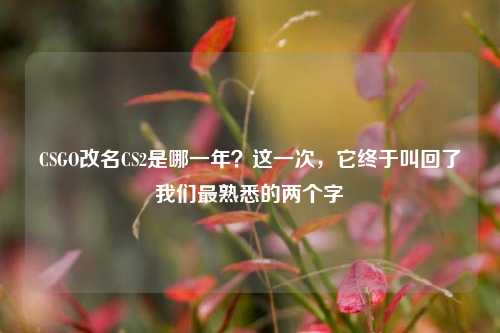 CSGO改名CS2是哪一年?这一次,它终于叫回了我们最熟悉的两个字