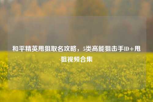 和平精英甩狙取名攻略，5类高能狙击手ID+甩狙视频合集