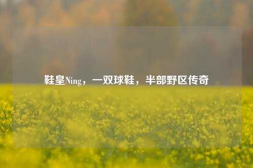 鞋皇Ning，一双球鞋，半部野区传奇