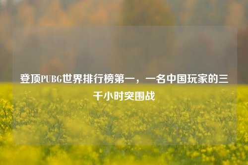 登顶PUBG世界排行榜第一,一名中国玩家的三千小时突围战