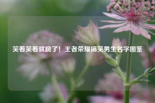 笑着笑着就跪了!王者荣耀搞笑男生名字图鉴