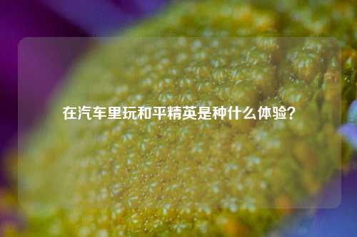 在汽车里玩和平精英是种什么体验？