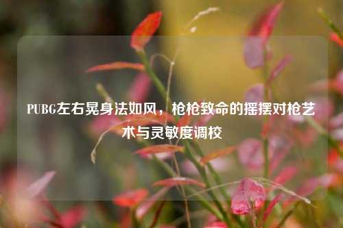 PUBG左右晃身法如风,枪枪致命的摇摆对枪艺术与灵敏度调校