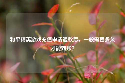 和平精英游戏充值申请退款后，一般需要多久才能到账？