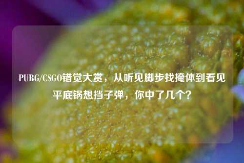 PUBG/CSGO错觉大赏,从听见脚步找掩体到看见平底锅想挡子弹,你中了几个?