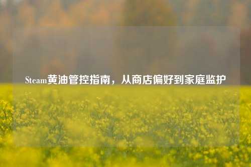 Steam黄油管控指南，从商店偏好到家庭监护