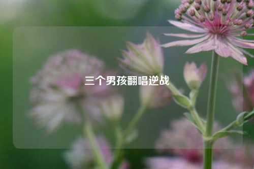 三个男孩翻唱逆战