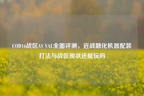 COD16战区AS VAL全面评测,近战融化机器配装打法与战区现状还能玩吗