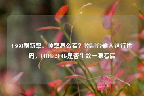 CSGO刷新率、帧率怎么看？控制台输入这行代码，144Hz/240Hz是否生效一眼看清