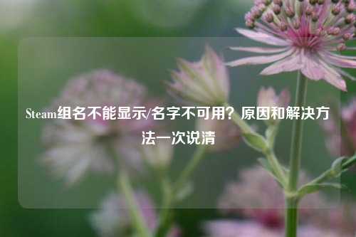 Steam组名不能显示/名字不可用？原因和解决方法一次说清