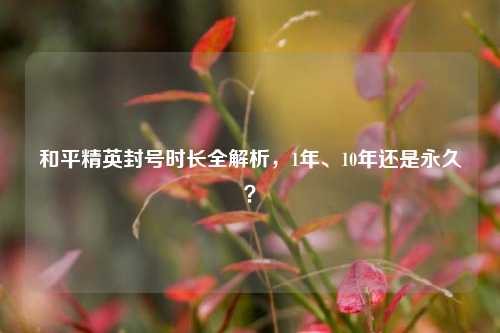 和平精英封号时长全解析,1年、10年还是永久?