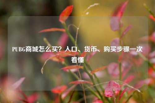 PUBG商城怎么买?入口、货币、购买步骤一次看懂