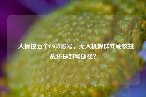 一人操控五个CSGO账号，无人机蜂群式硬核挑战还是封号捷径？