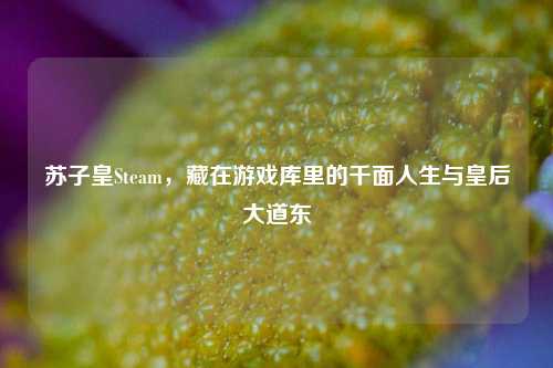 苏子皇Steam,藏在游戏库里的千面人生与皇后大道东