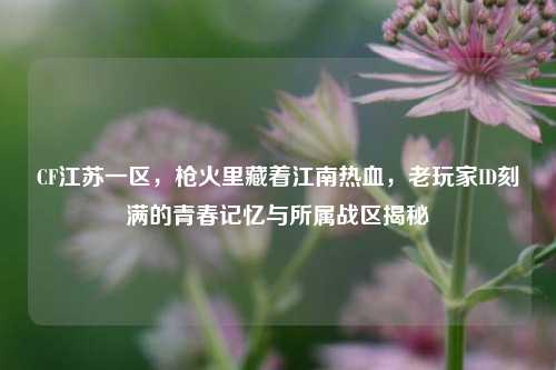 CF江苏一区,枪火里藏着江南热血,老玩家ID刻满的青春记忆与所属战区揭秘