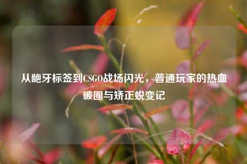 从龅牙标签到CSGO战场闪光,普通玩家的热血破圈与矫正蜕变记