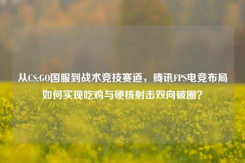 从CS:GO国服到战术竞技赛道，腾讯FPS电竞布局如何实现吃鸡与硬核射击双向破圈？