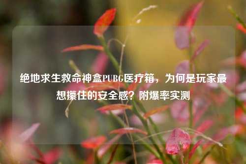 绝地求生救命神盒PUBG医疗箱,为何是玩家最想攥住的安全感?附爆率实测