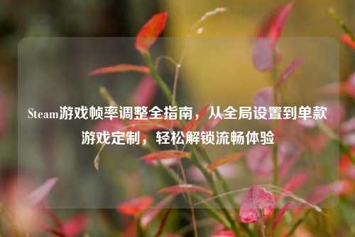 Steam游戏帧率调整全指南,从全局设置到单款游戏定制,轻松解锁流畅体验