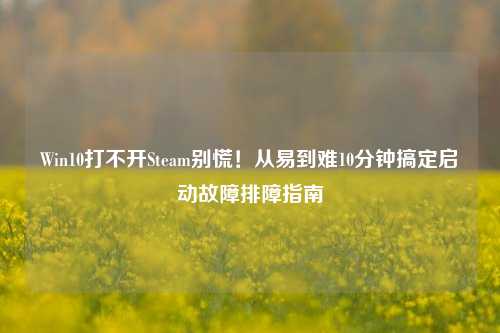 Win10打不开Steam别慌!从易到难10分钟搞定启动故障排障指南