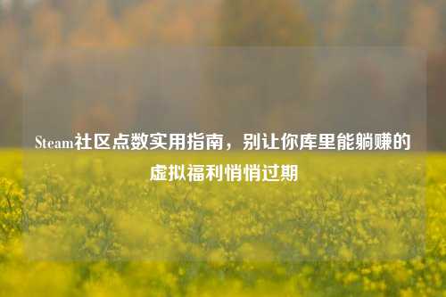 Steam社区点数实用指南,别让你库里能躺赚的虚拟福利悄悄过期