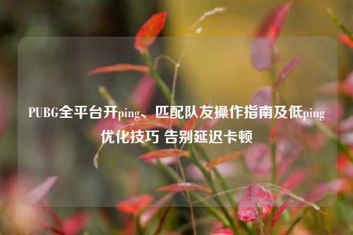 PUBG全平台开ping、匹配队友操作指南及低ping优化技巧 告别延迟卡顿