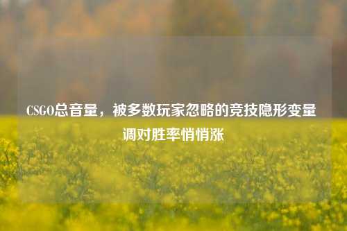 CSGO总音量,被多数玩家忽略的竞技隐形变量 调对胜率悄悄涨