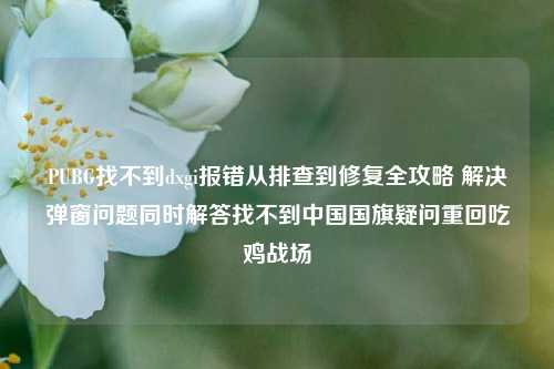 PUBG找不到dxgi报错从排查到修复全攻略 解决弹窗问题同时解答找不到中国国旗疑问重回吃鸡战场