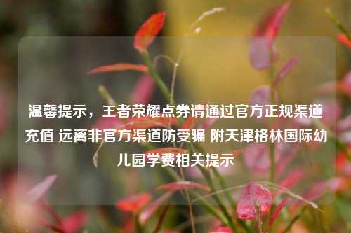 温馨提示,王者荣耀点券请通过官方正规渠道充值 远离非官方渠道防受骗 附天津格林国际幼儿园学费相关提示