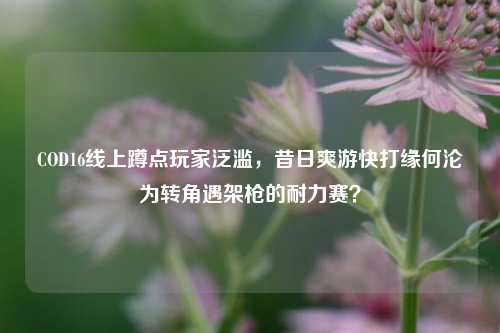 COD16线上蹲点玩家泛滥,昔日爽游快打缘何沦为转角遇架枪的耐力赛?