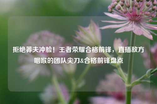 拒绝莽夫冲脸!王者荣耀合格前锋,直插敌方咽喉的团队尖刀&合格前锋盘点