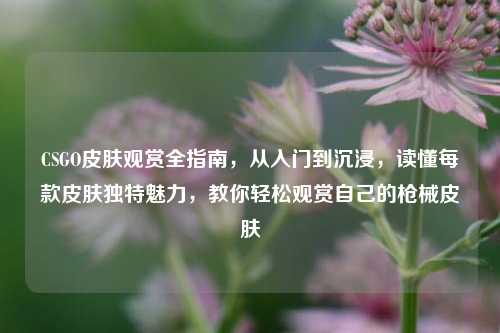 CSGO皮肤观赏全指南,从入门到沉浸,读懂每款皮肤独特魅力,教你轻松观赏自己的枪械皮肤