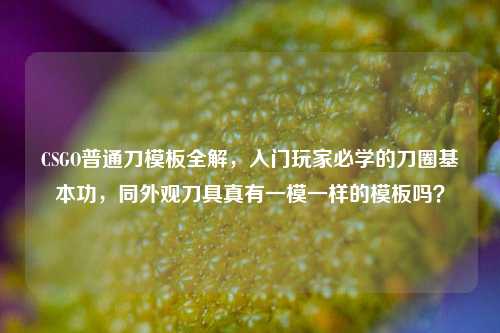 CSGO普通刀模板全解,入门玩家必学的刀圈基本功,同外观刀具真有一模一样的模板吗?