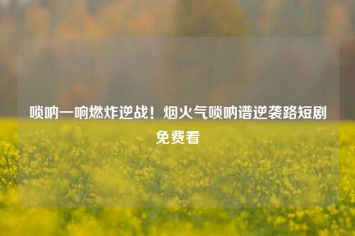 唢呐一响燃炸逆战!烟火气唢呐谱逆袭路短剧免费看