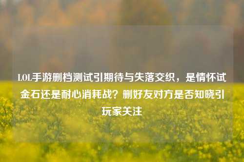 LOL手游删档测试引期待与失落交织，是情怀试金石还是耐心消耗战？删好友对方是否知晓引玩家关注