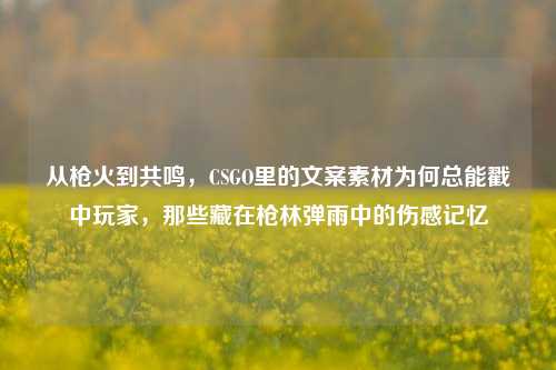 从枪火到共鸣,CSGO里的文案素材为何总能戳中玩家,那些藏在枪林弹雨中的伤感记忆