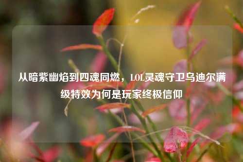 从暗紫幽焰到四魂同燃,LOL灵魂守卫乌迪尔满级特效为何是玩家终极信仰