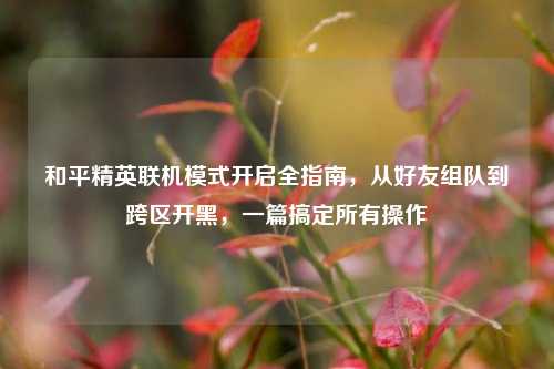 和平精英联机模式开启全指南,从好友组队到跨区开黑,一篇搞定所有操作