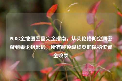 PUBG全地图密室完全指南,从艾伦格防空洞密藏到泰戈钥匙房,所有藏顶级物资的隐秘位置全收录