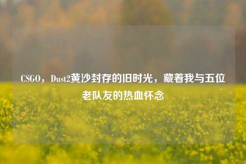 CSGO,Dust2黄沙封存的旧时光,藏着我与五位老队友的热血怀念