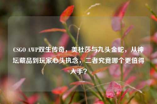 CSGO AWP双生传奇,美杜莎与九头金蛇,从神坛藏品到玩家心头执念,二者究竟哪个更值得入手?