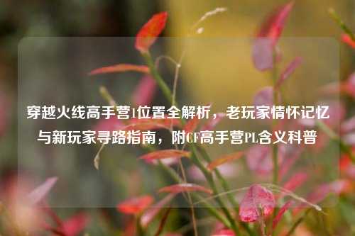 穿越火线高手营1位置全解析，老玩家情怀记忆与新玩家寻路指南，附CF高手营PL含义科普