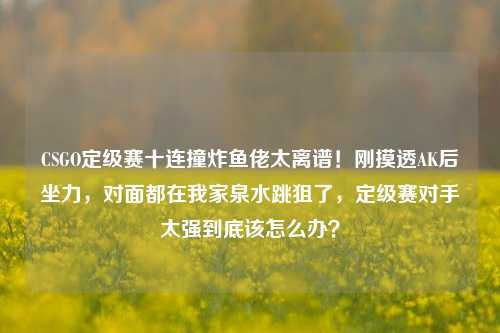 CSGO定级赛十连撞炸鱼佬太离谱！刚摸透AK后坐力，对面都在我家泉水跳狙了，定级赛对手太强到底该怎么办？