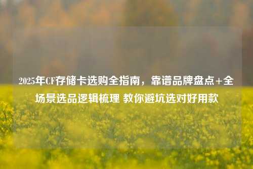 2025年CF存储卡选购全指南,靠谱品牌盘点+全场景选品逻辑梳理 教你避坑选对好用款
