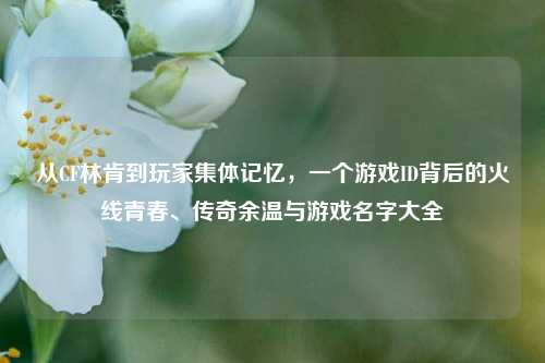 从CF林肯到玩家集体记忆,一个游戏ID背后的火线青春、传奇余温与游戏名字大全