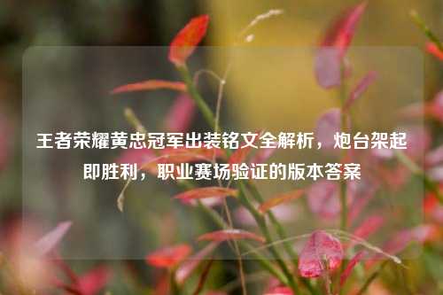 王者荣耀黄忠冠军出装铭文全解析，炮台架起即胜利，职业赛场验证的版本答案