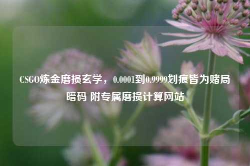 CSGO炼金磨损玄学，0.0001到0.9999划痕皆为赌局暗码 附专属磨损计算网站