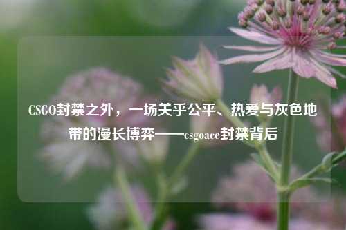 CSGO封禁之外，一场关乎公平、热爱与灰色地带的漫长博弈——csgoace封禁背后